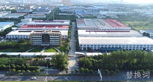 替换词介绍